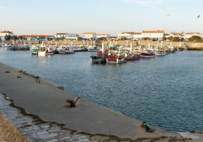 Après une visite du port de La Cotinière, où aller manger ?