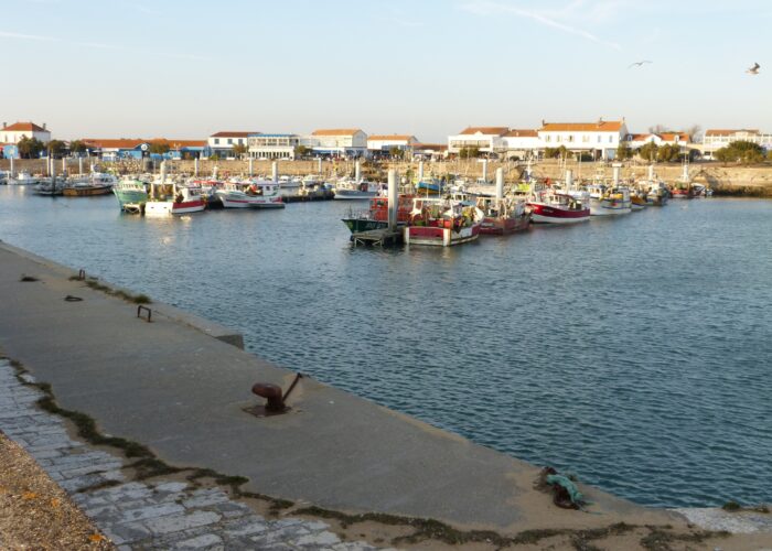 Après une visite du port de La Cotinière, où aller manger ?