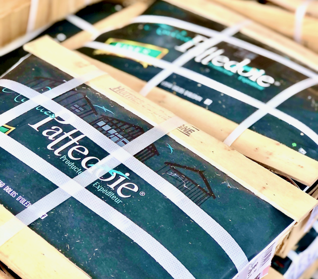 À la découverte des huîtres Pattedoie : un savoir-faire authentique au cœur de l’Île d’Oléron