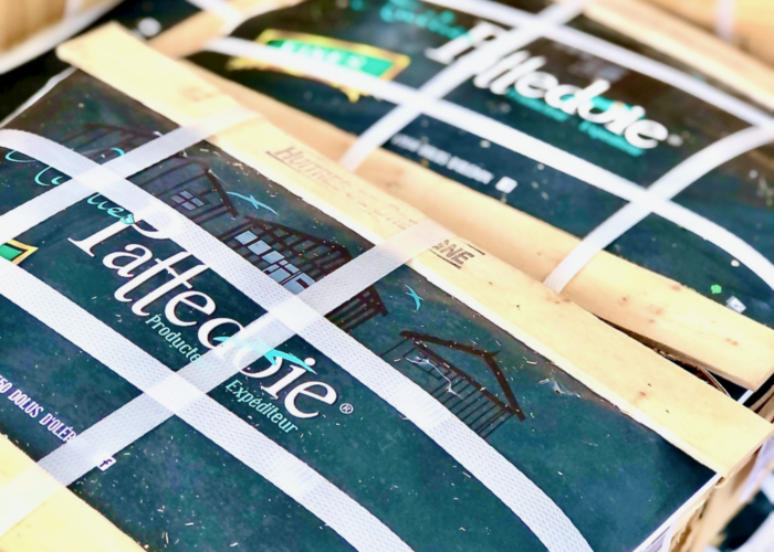 À la découverte des huîtres Pattedoie : un savoir-faire authentique au cœur de l’Île d’Oléron